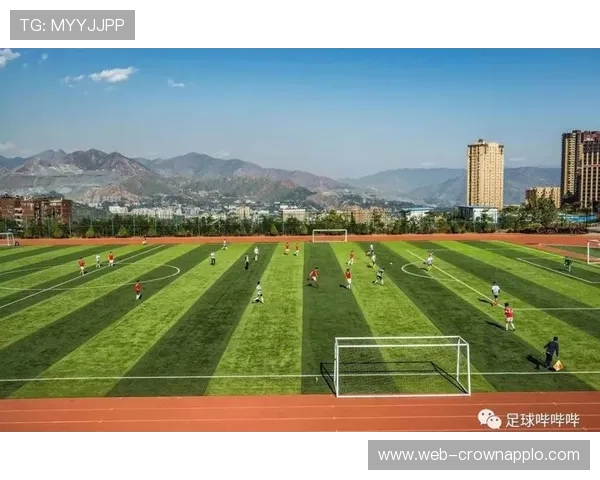 人工草场是否影响比赛规则？国际足联对场地材质的判罚标准解析